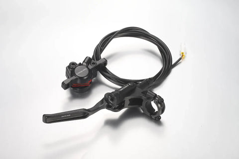 E6032 Rear Brake Cylinder Pump Assembly with Caplier(with 2 Screws) (MINI/MINI R)